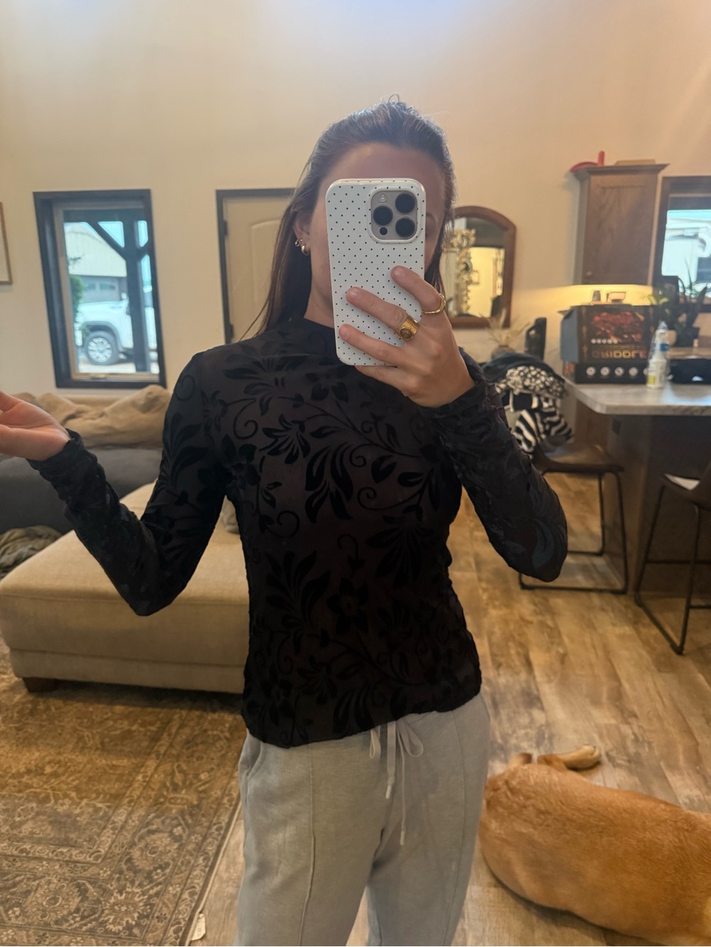 SHEIN Black Sheer Flocked Floral Long-Sleeve Top